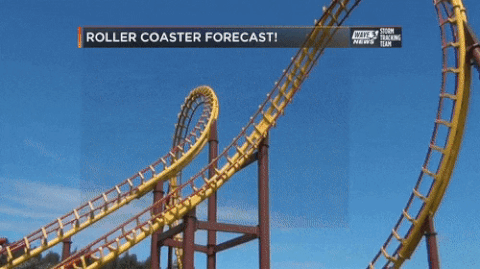 Roller Coaster Forecast